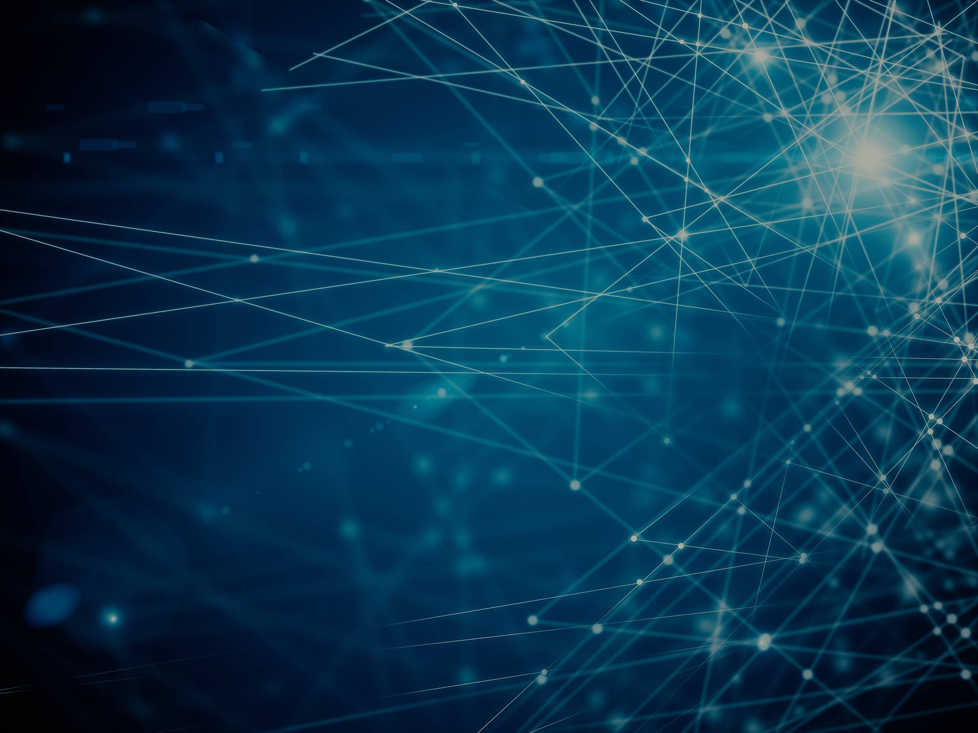 Custom Digital Solutions