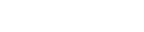 Custom Digital Solutions